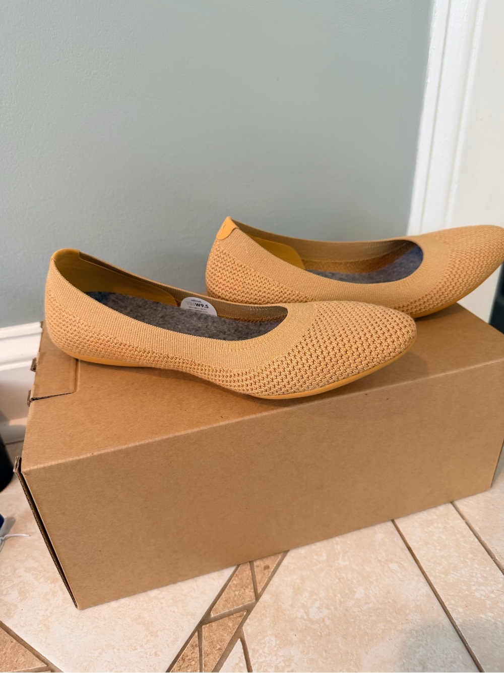 Allbirds Tree Breezers Forage Tan Flats Women’s 9.5 NIB